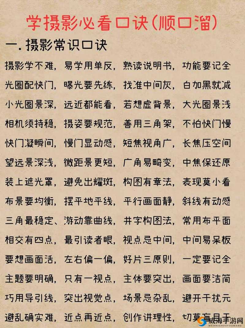 摄影艺术入门指南：基础技巧与方法