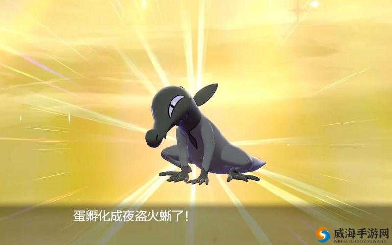 宝可梦剑盾夜盗火蜥进化之路：挑战与成长