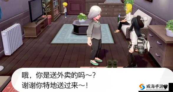宝可梦剑盾之送外卖任务的奇妙挑战与精彩历程