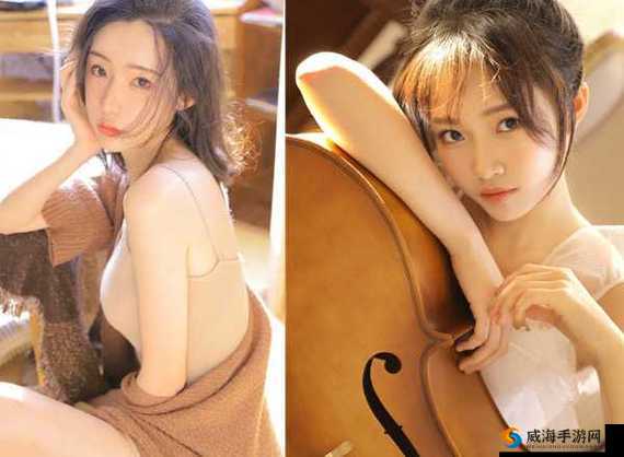 揭秘精产国品一二三产品：探寻背后的秘密