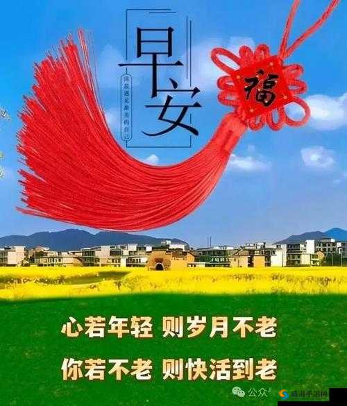 b 站大全永不收费 2024 入口在哪里快看这里-b 站大全最新入口分享