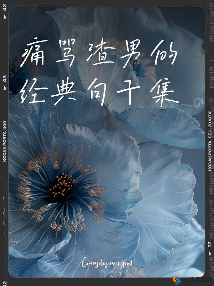 XXXXXLmedjyf7777777 遭遇痛骂：原因何在