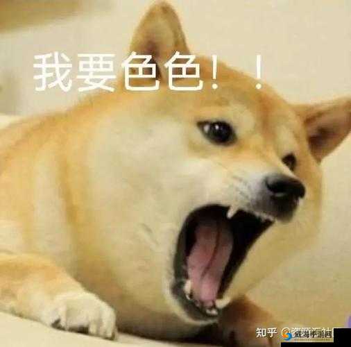 67194 色色麻相关有趣