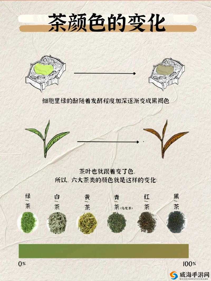 探究各类茶叶 究竟哪一类茶被归类为发酵茶