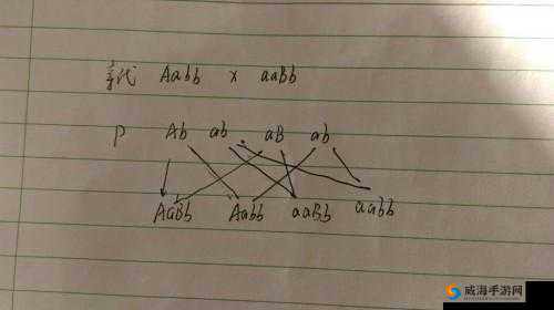 AABB 与 AAAA 的区别据说能找到齐全的视频资源 - 深度解析