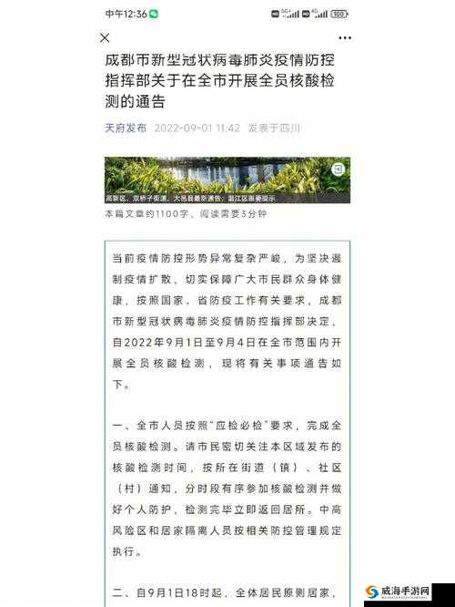 九一高危风险 9.1 免费版安装及相关内容