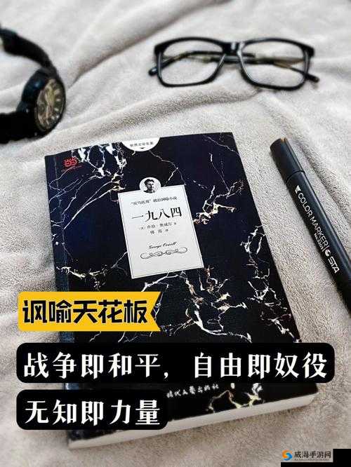 1984：探索人性与权力的边界