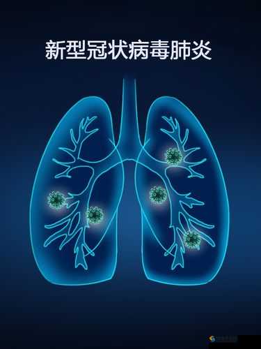 免费剧烈运动扑克视频软件下载：小心病蝳风险
