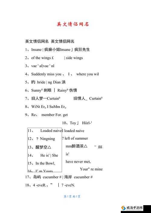 2024 欧美个性情侣网名精选：专属爱称集