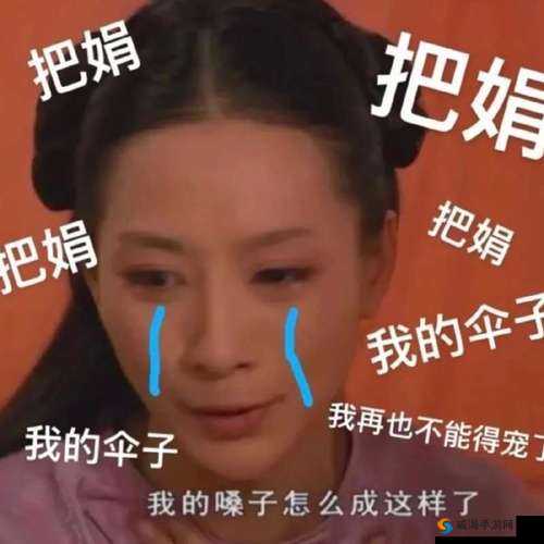 抖音如懿暗中观察表情包 惊觉大事不妙的奇妙瞬间