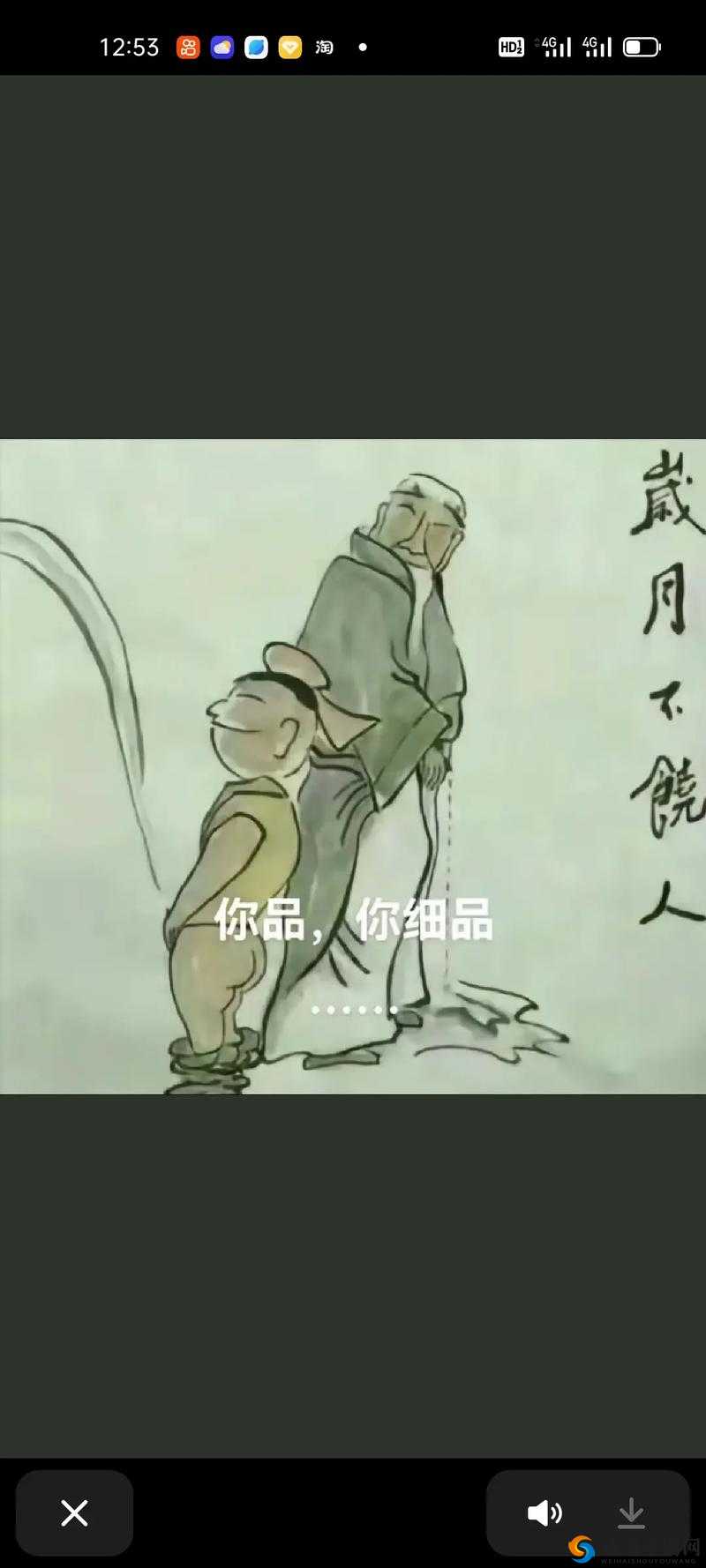 只因缘起波澜起，寻遍全网方知何解？探寻只因的幽默风波与网络梗源