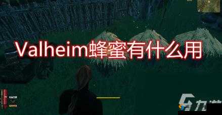 Valheim蜂蜜获取指南：蜂蜜获得方法与技巧详解