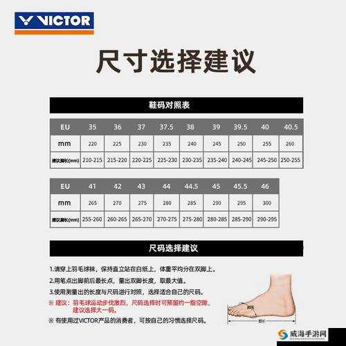 国产尺码-欧洲尺码 对比解析与选择指南