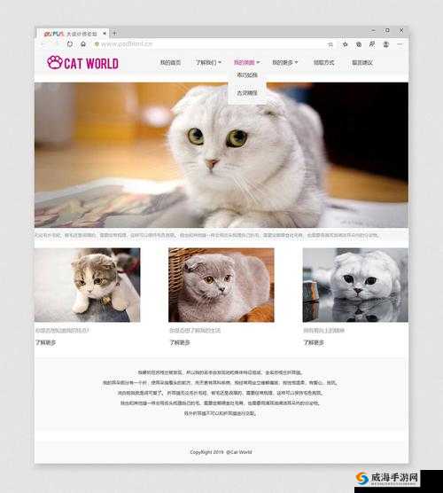 DW 成品网站成品目前恢复正常啦