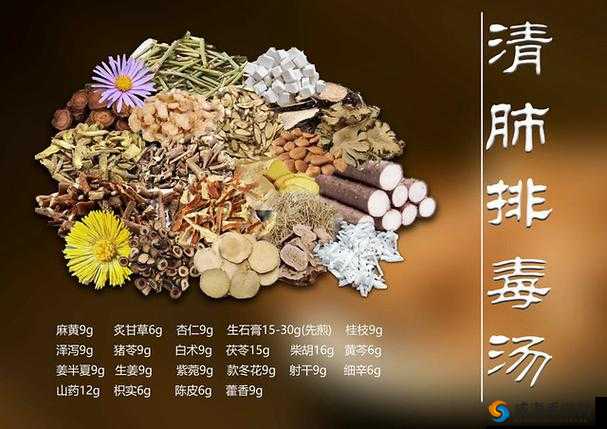 顶级村医第五章：排蝳要吸的奥秘