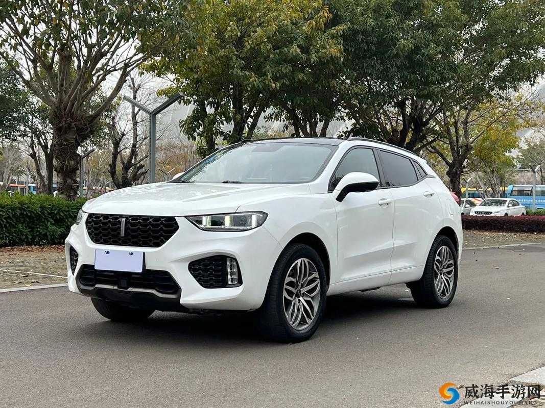 WEY VV5 国产 SUV 视频：魅力呈现