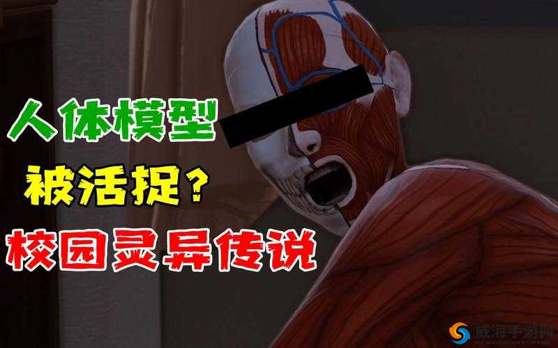 审判之逝湮灭记忆：解开人体模型支线之谜
