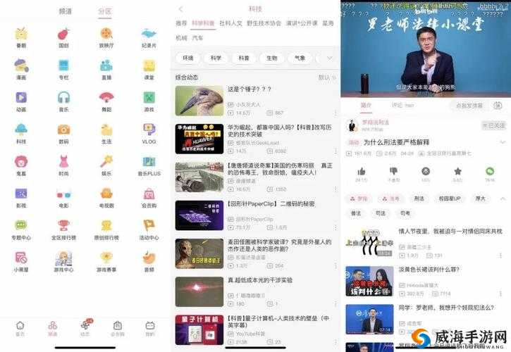 B站看视频好处多：丰富知识、放松娱乐