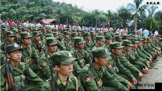 缅北网站浏览器:揭秘神秘缅北