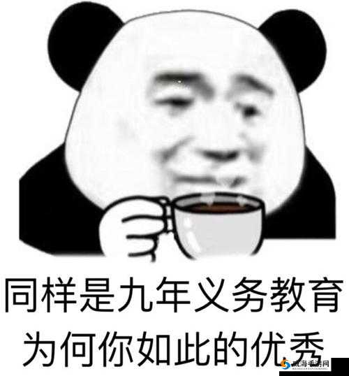 九年义务教育，为何你如此优秀？表情包大全分享
