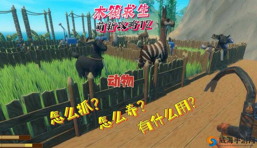 木筏求生动物饲养方法介绍