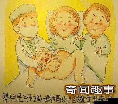 日韩 MN 交配相关内容探讨