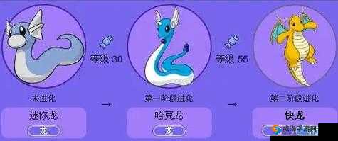 迷你龙在多少级时会进化及其进化后的具体表现和特点