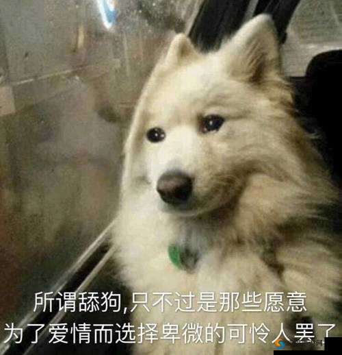 啊你 tm 别舔了好疼：舔狗的痛苦谁懂