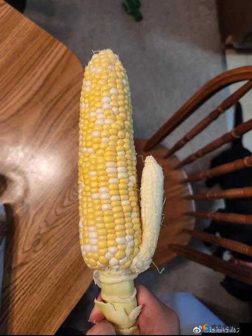 草莓菠萝黄瓜榴莲秋葵大全：新鲜蔬果荟萃