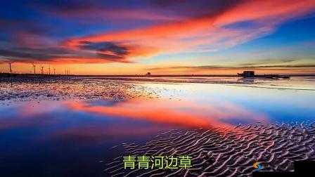 青青河边草免费视频大全：精彩不容错过