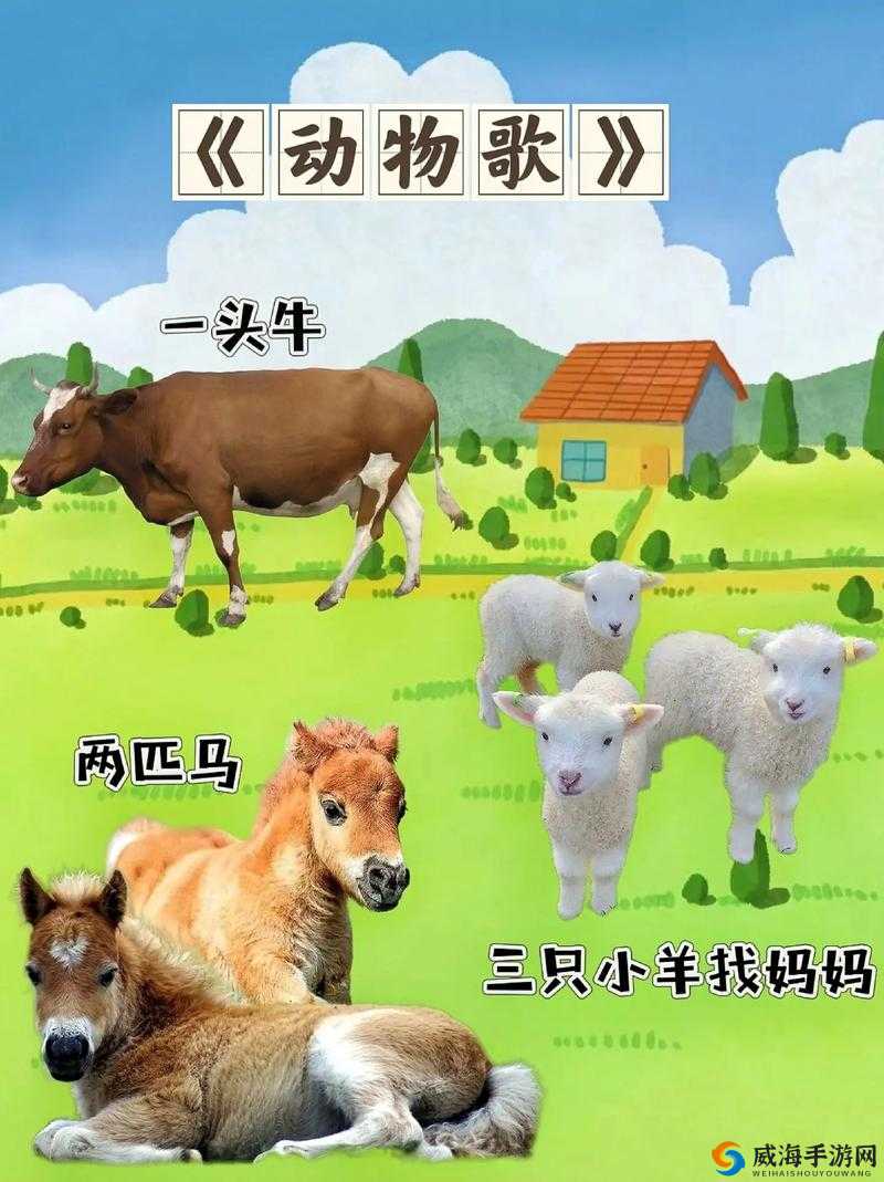 抖音中一鸡马是什么歌 快来分享一鸡马刷刷刷的精彩歌词