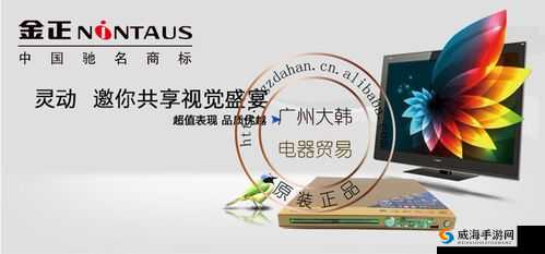 高清 DVD 碟片播放：全新视觉盛宴开启