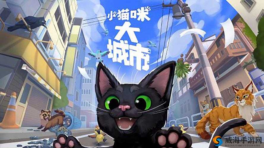 小猫咪大城市日常美容动作怎么获得：探索美容秘籍