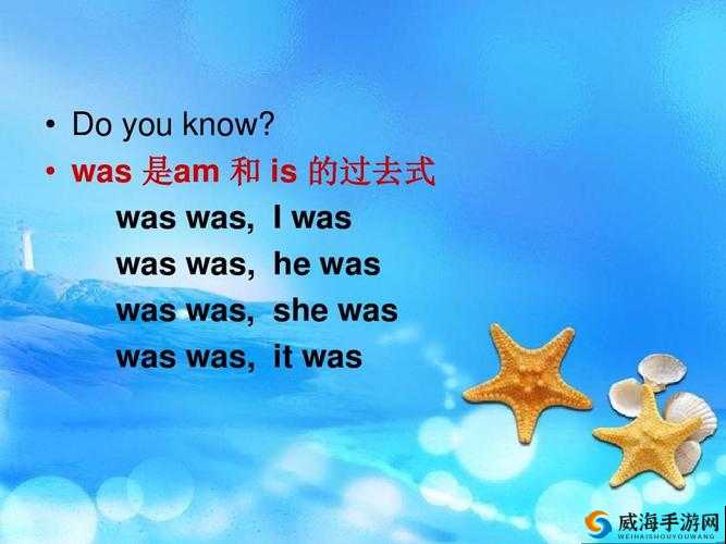 WASWASWAS 美国:探究其独特之处
