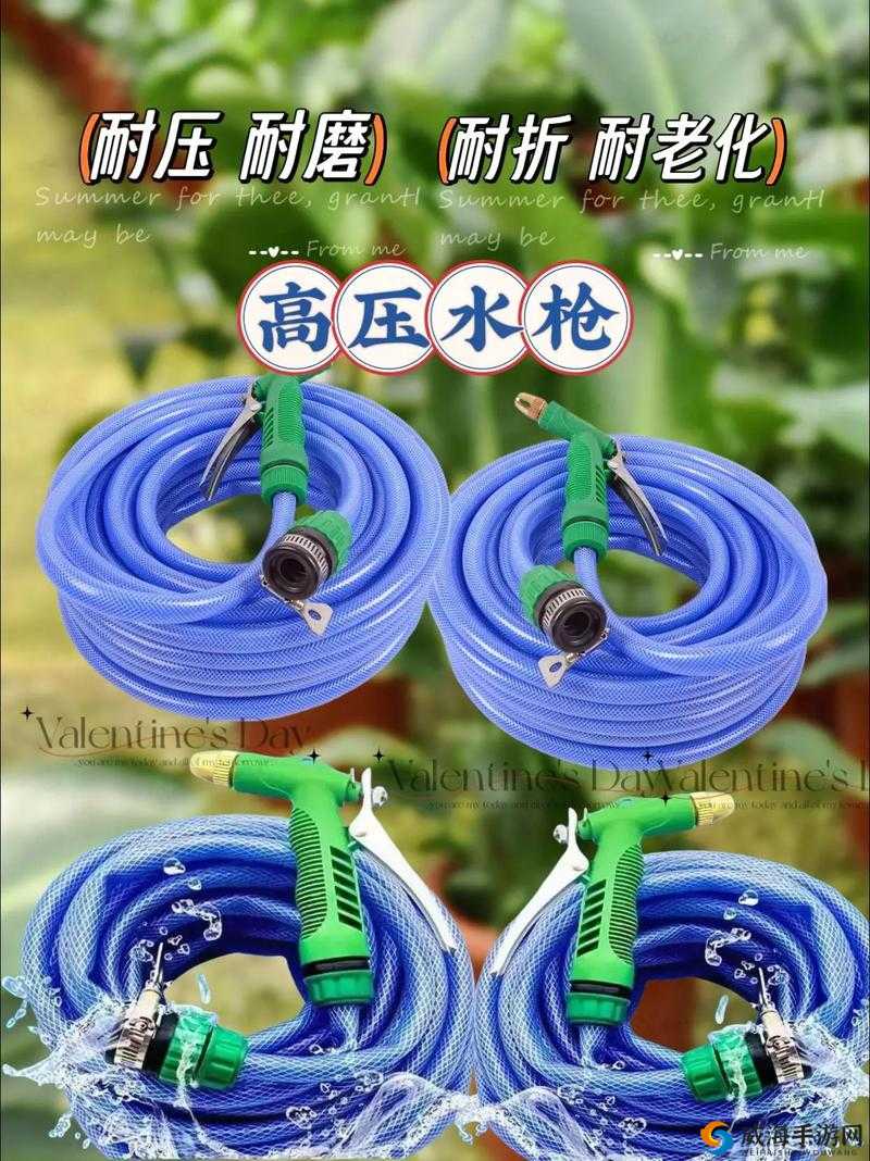 星界边境水戗功能与效用深度解析：水戗在星界边境的多重角色与应用分析