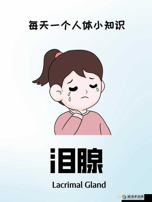 为什么一加速女生哭的原因是什么