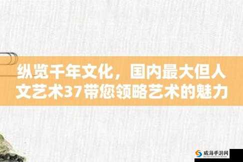 37 大但人文 company 独特魅力呈现