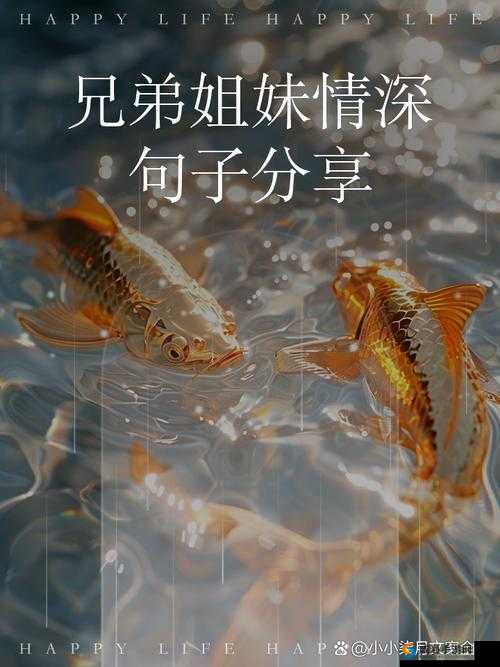 4ph 兄弟默契：一生的情谊