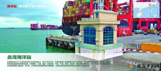 国外黄冈 b 站：知识的海洋