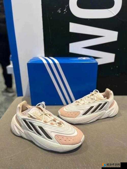 三叶草 gy6793 之探索