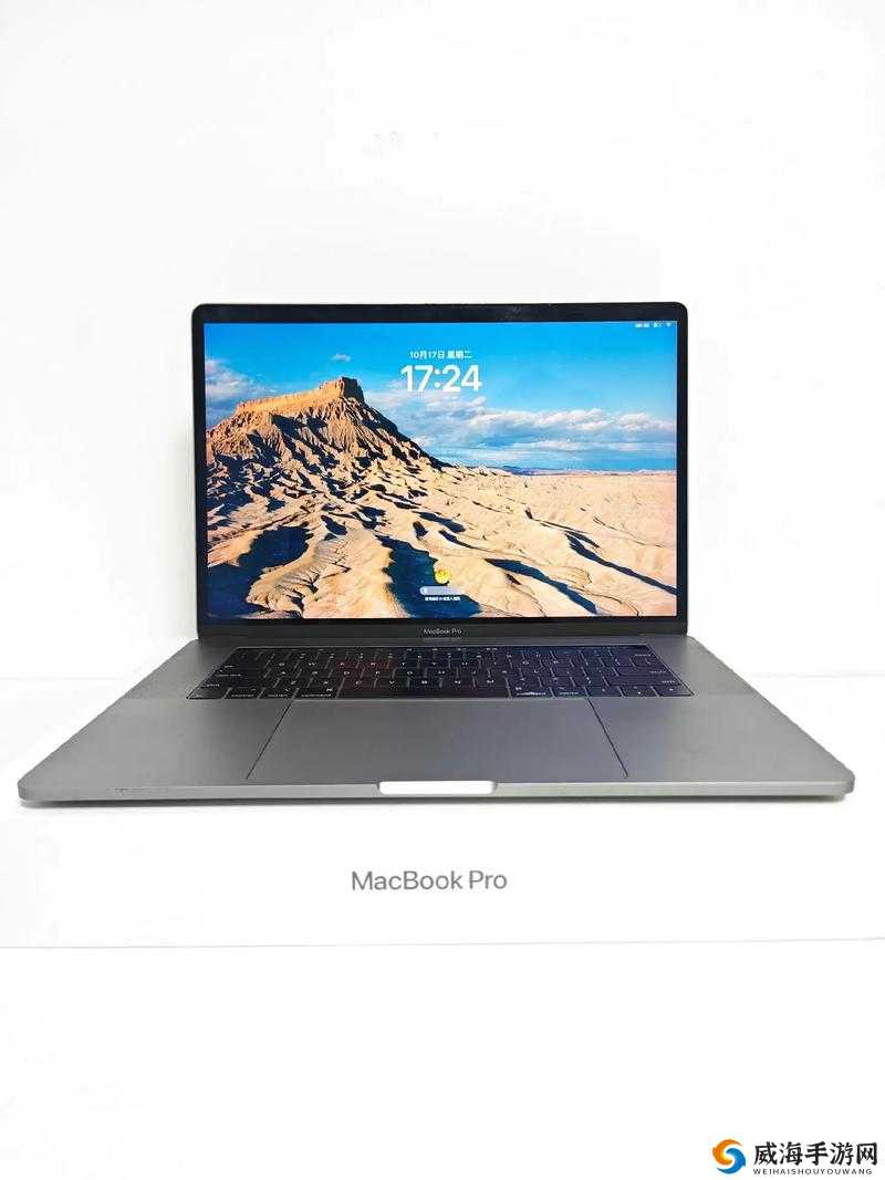 19 岁 MacBook Pro：非凡性能与独特魅力