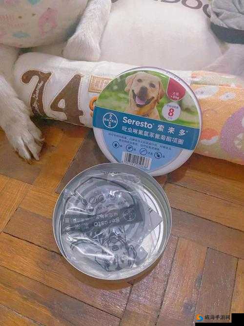 人狗胶配方大全：狗狗——揭秘狗狗食品神秘配方