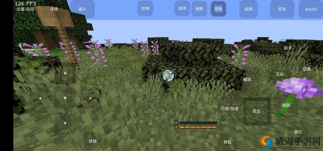 探索无限世界：我的世界中指南针的神秘功能与用途解析