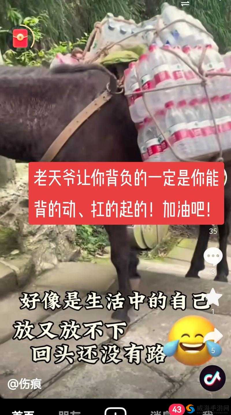 抖音前行步步怀自信，唱响自信之歌，激励前行