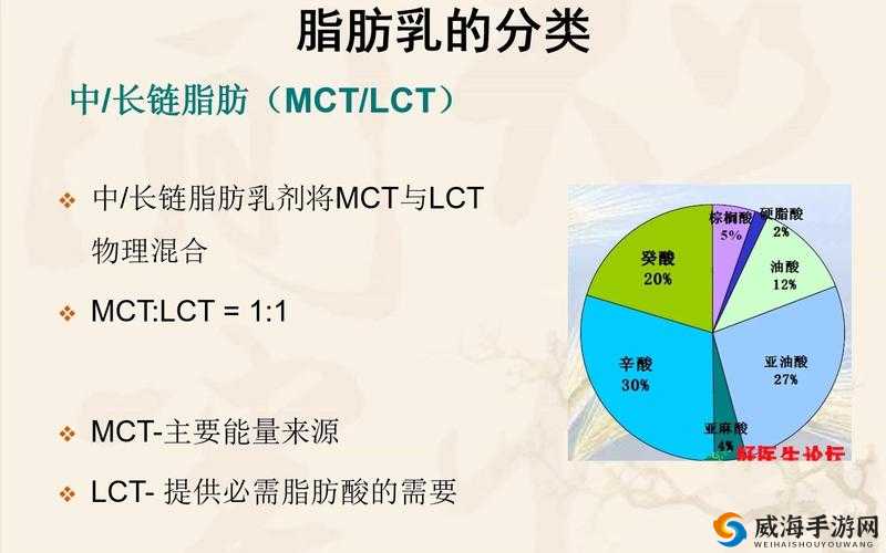 战歌竞技场圣殿骑士图鉴详细介绍与全面解析
