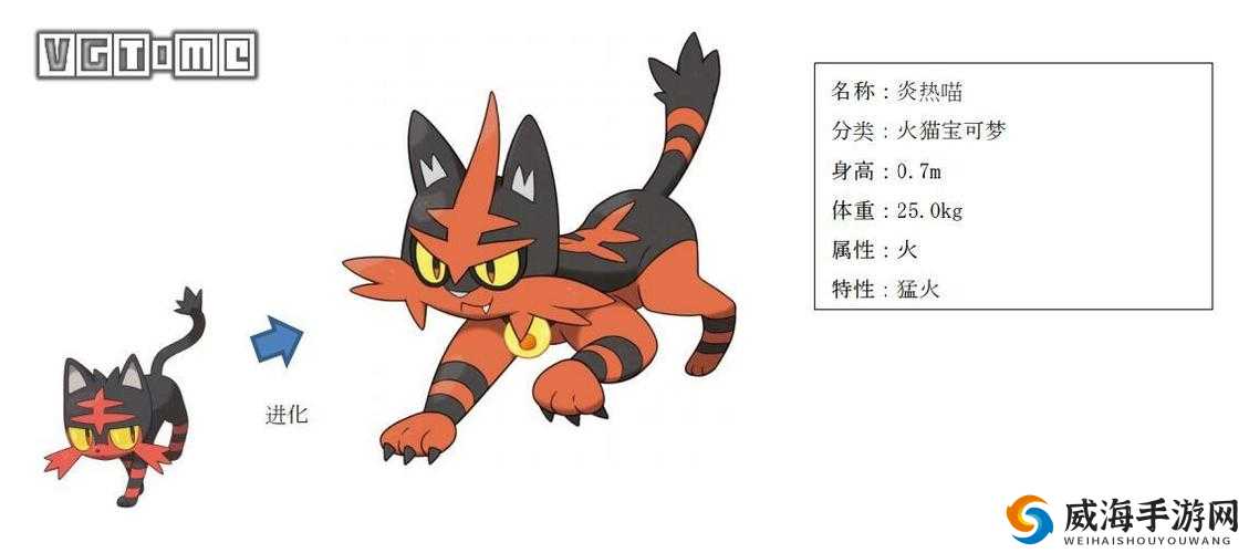 口袋妖怪日月御家炎热喵全面解析：精灵宝可梦太阳月亮炎热喵的独特技能与进化之路探索