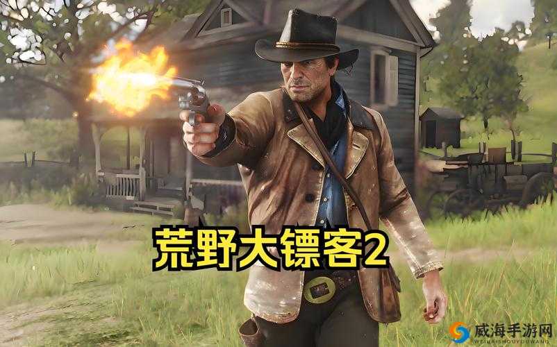 40 岁阿姨荒野大镖客 2 独特玩法分享