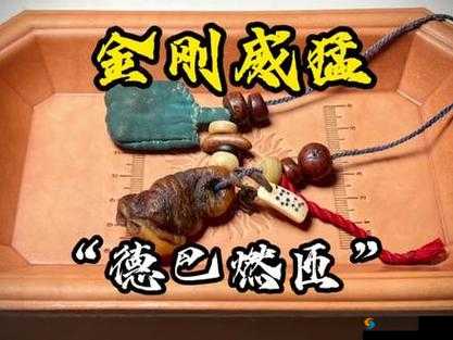 肉莲花吸入金刚杵后果严重