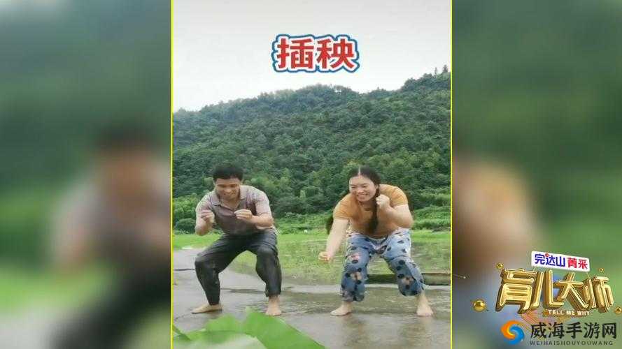 情侣插秧的 100 种方法：创意与浪漫的融合
