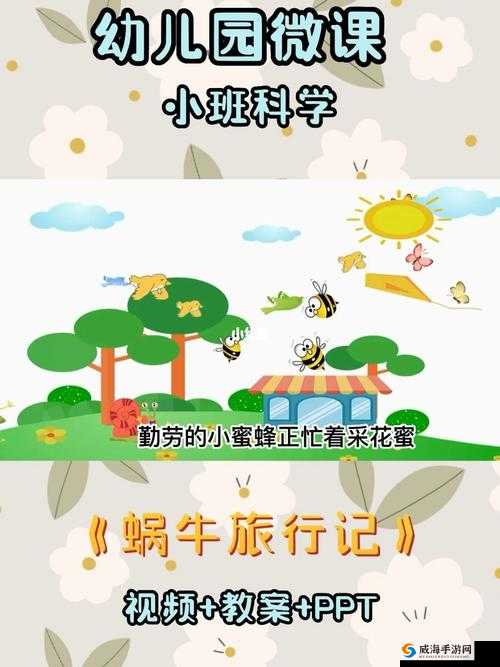 时间的交响曲：青蛙旅行的秘密，蜗牛乌龟与蜜蜂的共同律动——寻找青蛙朋友的隐秘出现规律